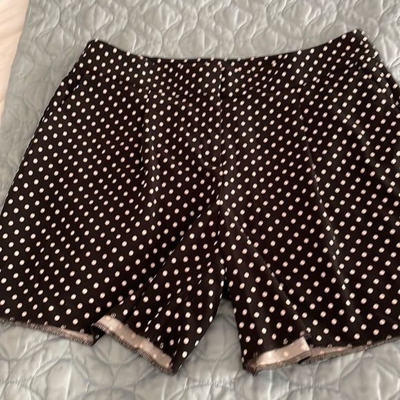 Ann Taylor polkadot shorts size 8 - Picture 1 of 6